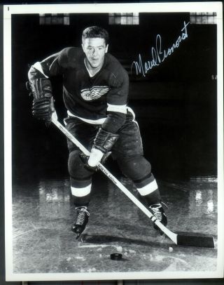 1 - 8 A 10 Vintage Glossy Photo Of Hhof Marcel Pronovost With Certificate