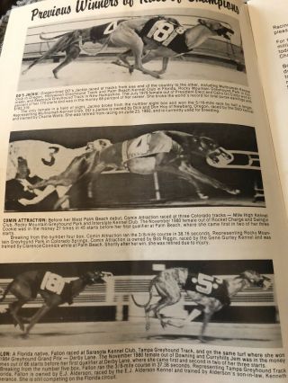 1985 Lincoln Greyhound Program Race Of Champions Lady Delight Dutch Bahama 2