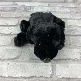 Webkinz Lil Kinz Black Lab Dog Puppy Plush Animal Hs136 No Code