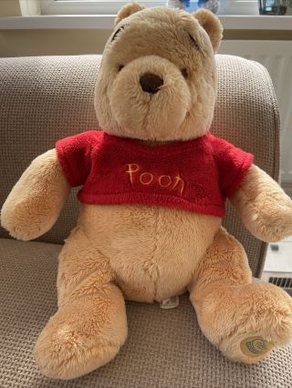 Disney Winnie The Pooh Bear Disney Store Exclusive Plush Toy