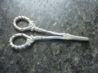 Sterling Silver Grape Scissors With Steel Blades 1899 Birmingham