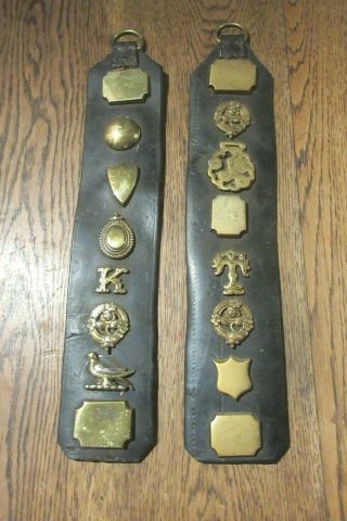 Antique Horse Brasses On Leather Strap Studs Badges K And T Initials Martingale
