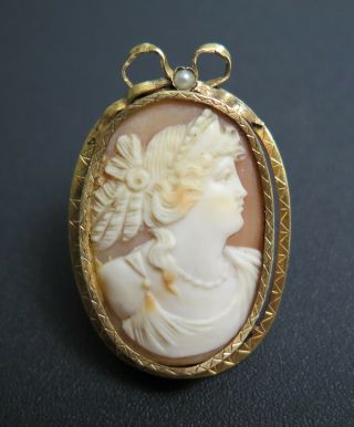 Antique 14k Gold Carved Shell Cameo Brooch Pendant W/ Bow & Seed Pearl
