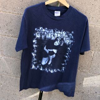Vtg Tina Turner Concert T Shirt 1996,  Wildest Dreams Tour Hanes Hosiery Presents