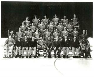 Montreal Canadiens 1975 - 76 Nhl Season Team 8x10 Photo