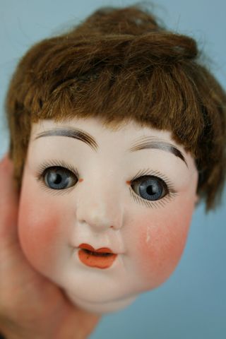 Antique German Bisque Doll Head Marked Germany 50 $1.  00 Opening Bid
