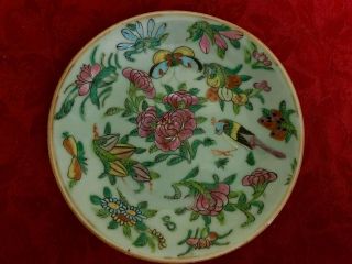 Antique,  Chinese Tongzhi Nian Zhi Da Qing Fencai,  Celadon Famille Rose Plate