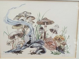 Vintage Mushroom Print Signed Elyse Wasile Bahamas 8x10 Midcentury Modern
