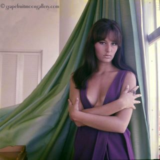 Bunny Yeager 1960s Camera Color Transparency Pretty Brunette Model Roxanne Lee