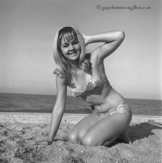 Bunny Yeager 1967 Pin - Up Camera Negative Photograph First Time Bathing Beauty