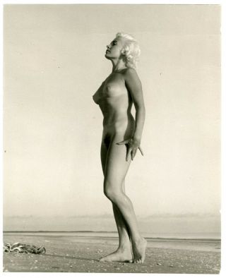 Lori Shea Nude Model 
