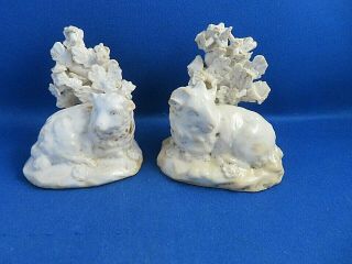 Antique Early 19thc Derby Porcelain Figures Ofsheep " Ewe And Ram " C1820