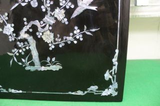 Chinese Black Lacquered Wall Plaque Panel,  Mother of Pearl Inlay Peacock Scene 2