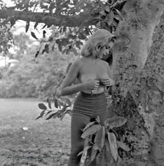 Bunny Yeager 1960s Pin - Up Camera Negative Pretty Pensive Topless Inez Pinchot Nr