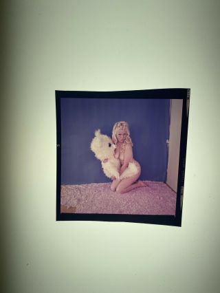 Great Nude Bunny Yeager Pin - up Self Portrait Color Film Transparency 2