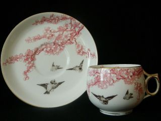 Antique George Jones China Cup & Saucer With Birds,  Blossom & Gilding 1910 - 1920