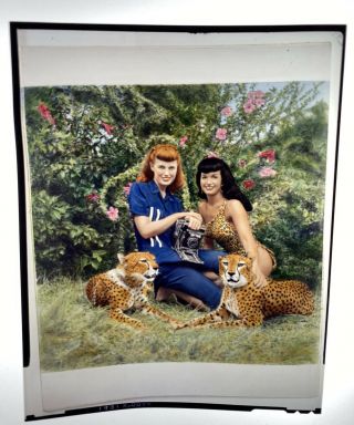 Bettie Page & Bunny Yeager Pin - Up Color 4x5 Film Negative Cheetahs Boca Fl ‘54