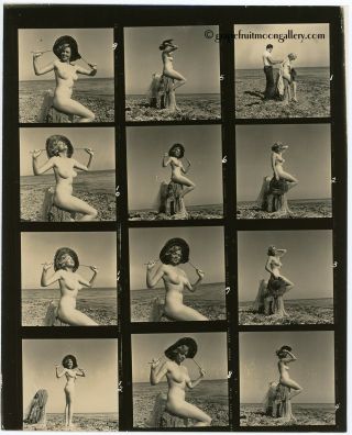 1950s Bunny Yeager Contact Sheet Photo 12 Frames Sunning Goddess Ruth Shepard