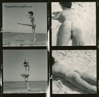 Bunny Yeager Pin - Up Contact Sheet Photograph Nude Fran Stacy On A Sandy Beach 2