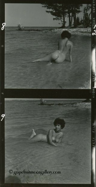 Bunny Yeager Pin - Up Contact Sheet Photograph Nude Fran Stacy On A Sandy Beach 3