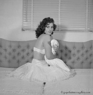Bunny Yeager 1950s Pin - Up Camera Negative Pretty Lingerie Model Virginia Remo Nr