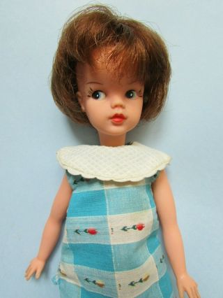 Fab Rare Vintage 1963 - 65 Pedigree Sindy Doll Made In England With Chestnut Hair