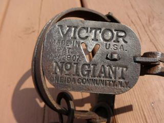 2 Victor Giant Oneida Community Traps 100 Pan,  Vintage Antique Rare Wow