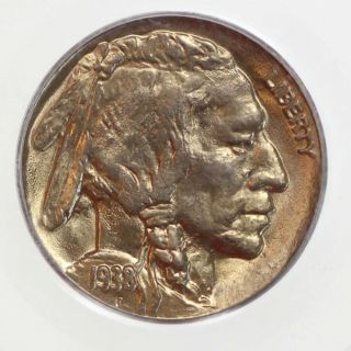 1938 - D 5c Buffalo Nickel Five Cent Piece Pcgs Ms64