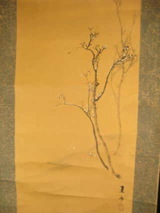 Antique Japanese Early Taisho Era Signed Scroll Plum Blossom Shunga Erotic