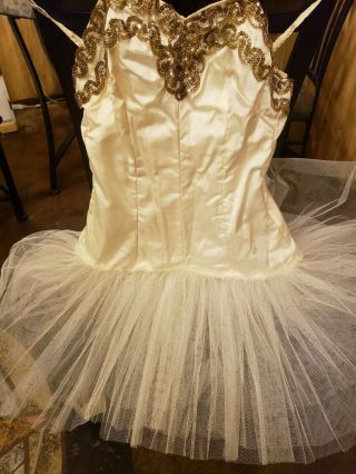 Vintage Ballerina Tutu Costume Outfit Dress