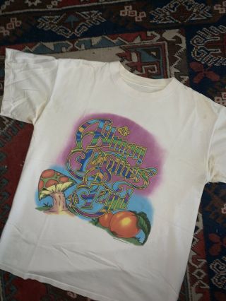 Vintage 1995 Allman Brothers Band Tee “give Peach A Chance” Tour