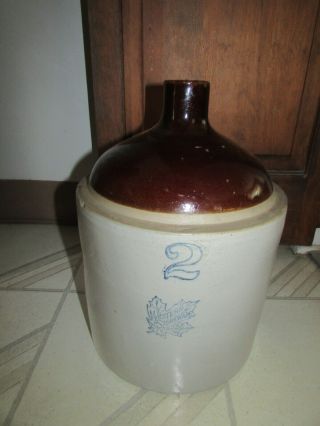 Antique 2 Gallon Western Stoneware Company Maple Leaf Crock Shoulder Jug