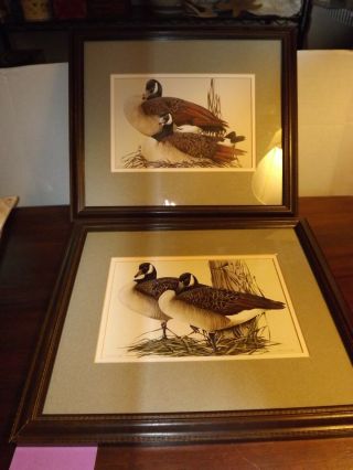 Vintage Pr Canadian Geese/ducks Pencil Titled & Signed Art Lemay Matted Framed