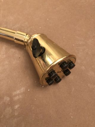 Kohler Brass/gold Pre Owned Shower Head With George’s Iv