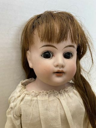 Early 19 " Cuno Otto & Dressel Cod Bisque Shoulder Head Doll Leather Body Germany