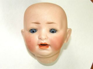 Antique Germany Hertel Schwab Baby Doll Bisque Head Only 152/4