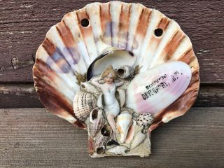 Antique Victorian Sea Shell Art Seashells Girl Souvenir Davenport Iowa Bisque