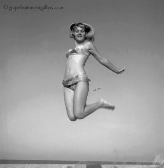 Bunny Yeager 1967 Pin - Up Camera Negative Photo Athletic Leaping Bathing Beauty