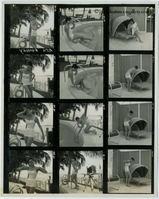 1950s Bunny Yeager Contact Sheet Photo 12 Frames Hot Poolside Model Rita Ramsey