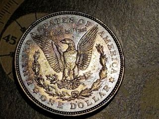 1921 D Morgan Dollar Nicely Aged