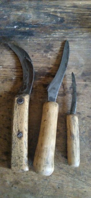 Set Of 3 Antique Early 19th C Primitive Hand Forged Corn Knives Wood Handle 9.  5 "