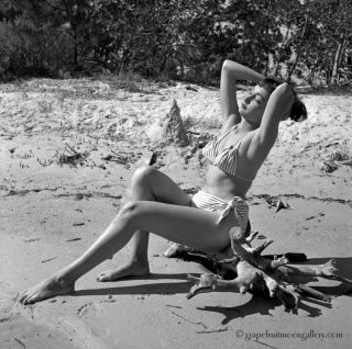 Bunny Yeager 1954 Pin - Up Negative Photograph Bathing Beauty Lillian Balikian Fab