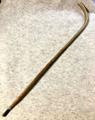 Vintage Farmers Show Cane Walking Stick For Showing Pigs At County Shows
