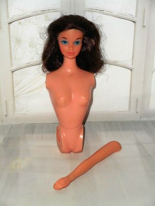 Vintage Barbie Busy Steffie Baggie Babs Head Torso Left Arm W/ Busy Holdin Hand