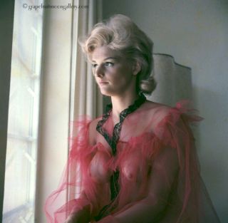 1960s Bunny Yeager Color Camera Transparency Pretty Blonde Melinda Allison Nude