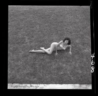 Bunny Yeager 1950s Pin - up Camera Negative Photograph Linda Vargas View 2