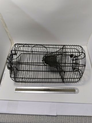 Antique Rodent Trap.  Catch And Release