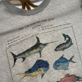 Vintage 70s California Fish Quiz Angler Fly Fishing Guide T Shirt Soft Worn Sz L