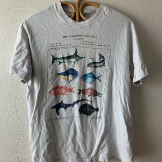 Vintage 70s California Fish Quiz Angler Fly Fishing Guide T Shirt Soft Worn Sz L 2