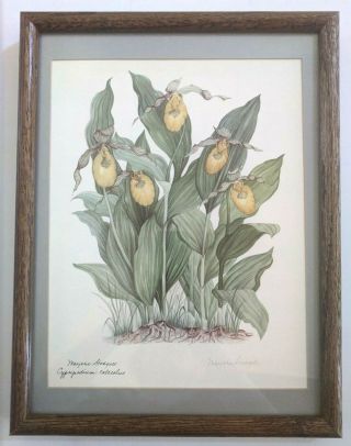 Vintage Framed Botanical Painting Print Cypripedium By Marjorie Stodgell Signed